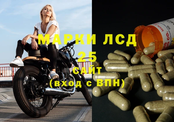 гидра Новодвинск