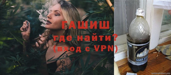 гидра Новодвинск